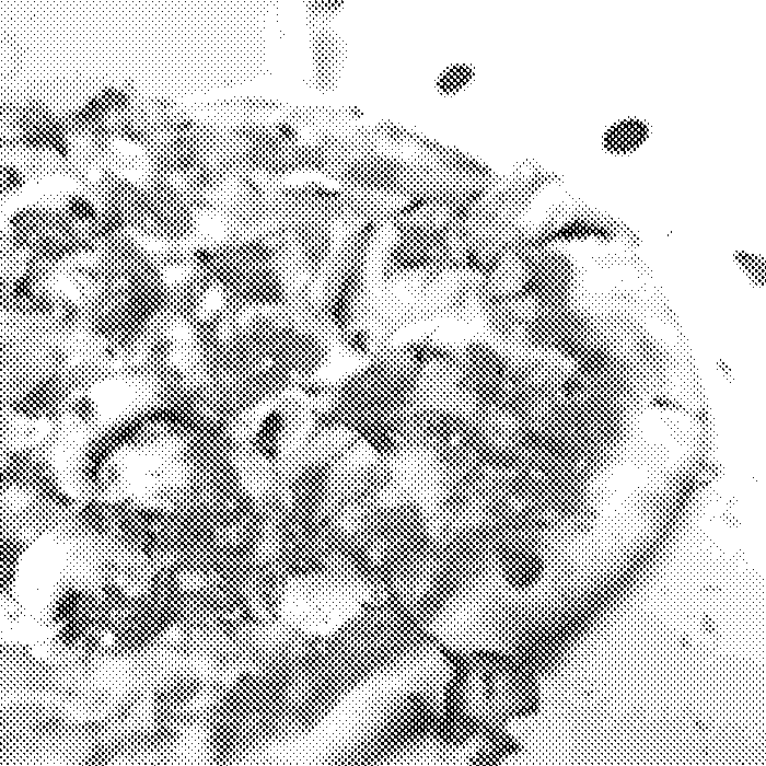 Pizza recién hecha en horno de piedra